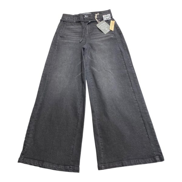 Jeans Wide Leg By Democracy In Grey, Size: 6 For Sale
